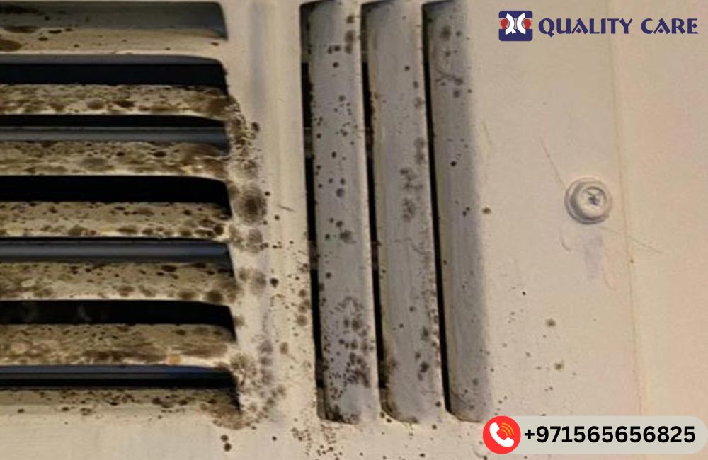 Top Signs Your AC Ducts Need Cleaning and Disinfection